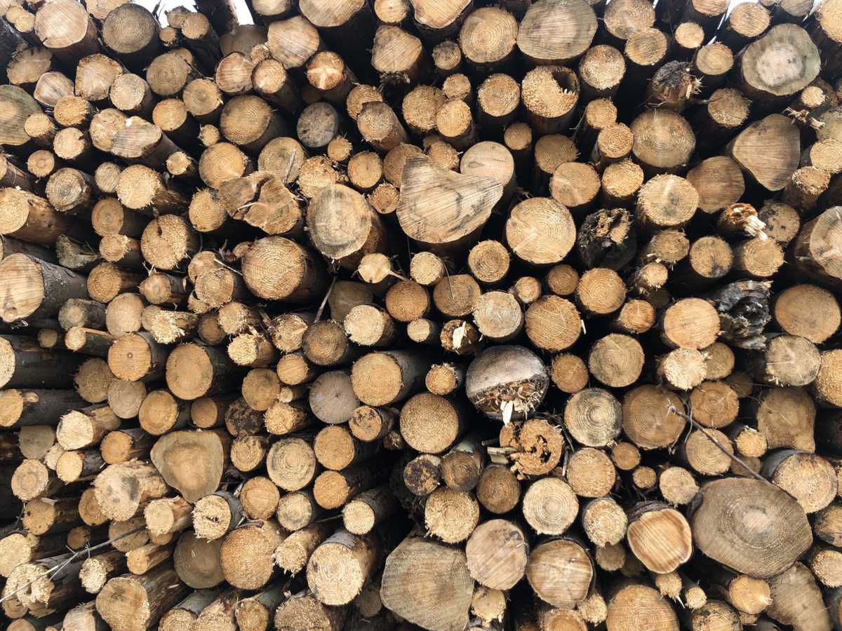 Hardwood & Softwood